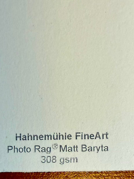 titel: A Head Full (print in vintage lijst)
